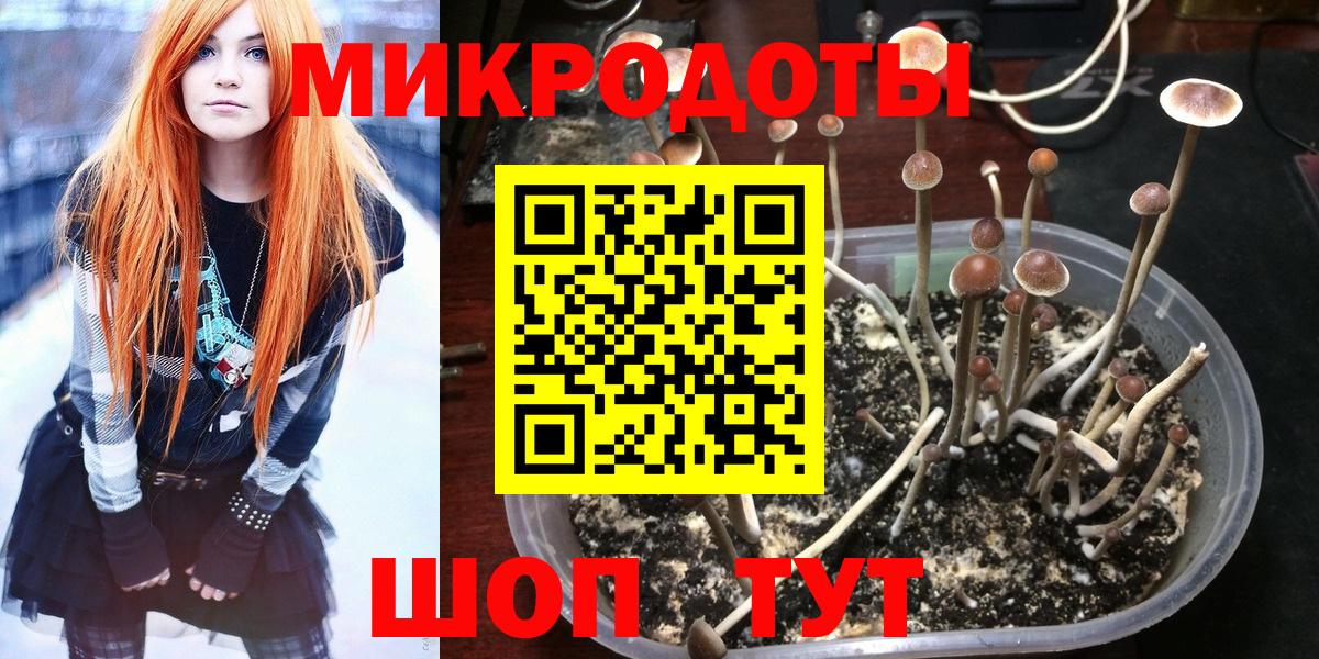 МЕТАДОН  ТГК  МЕТ  Вход с VPN  ГАШИШ  COCAIN  МЕФ   Апатиты  Меф МЯУ МЯУ  APVP СК   NBOMe 