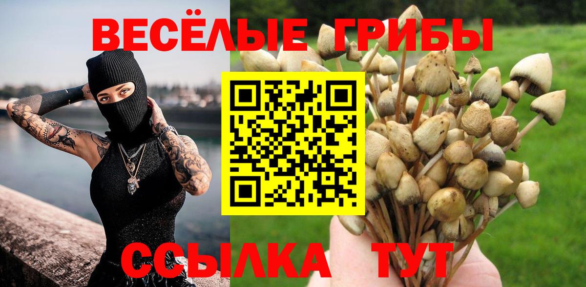 Апатиты  Галлюциногенные грибы Psilocybine cubensis  Псилоцибиновые грибы GOLDEN TEACHER  Вход с VPN 